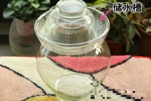 四川泡菜做法完整版（含母水的做法及注意事项）